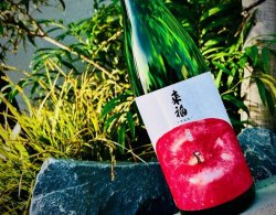 画像1: 来福 くだもの「りんご」純米大吟醸生酒 1800ml