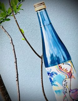 画像3: 松の寿 純米吟醸 生酒 ナツノコトブキ 720ml