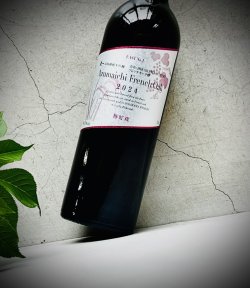 画像2: 東一  純米吟醸 余市平川ワイナリー樽貯蔵 2024 750ml