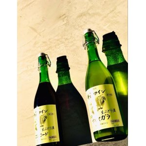 画像: 井筒 生にごり ワイン 2024 720ml ナイヤガラ (白)