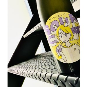 画像: 飛良泉 サワーキャット 純米吟醸 おりがらみ 火入れ 720ml