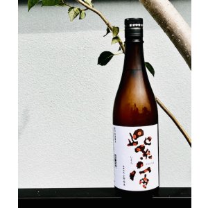 画像: 紫宙 ビターラベル 特別純米 火入 720ml